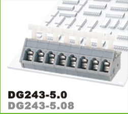 DG243-5.0