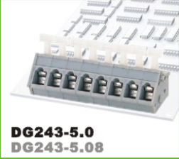 任丘DG243-5.0