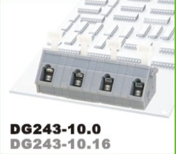 DG243-10.0