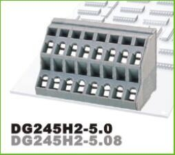 DG245H2-5.0/5.08